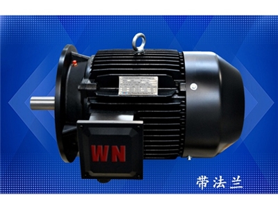 多級泵專(zhuān)用電機（1）