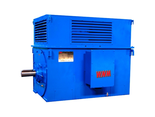 8 Y系列中型(xing)高壓高效電動機(jī)