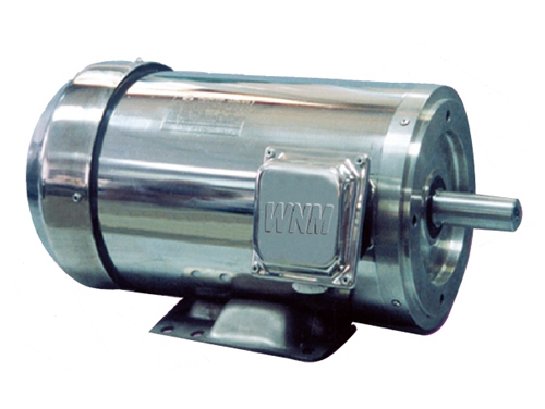 3 NS系(xi)列超高效不(bu)鏽鋼三相異(yi)步電動機