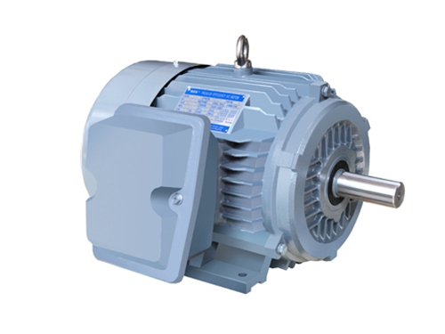 3 NE系列(lie)高效高轉(zhuǎn)矩三相異(yi)步電動機(jī)