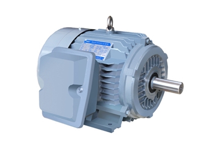 NE系列(lie)高效高轉矩(ju)三相異步電(dian)動機