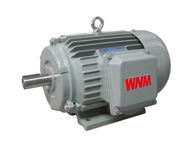 YJZ2系列機床專用(yòng)三相異步電動(dòng)機