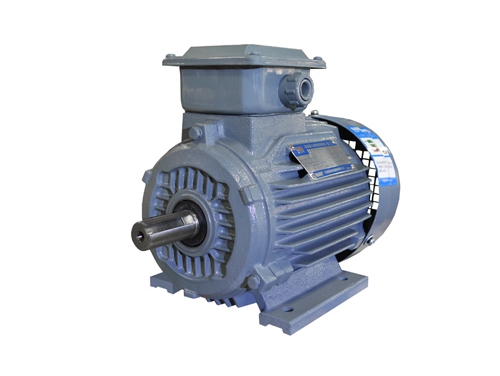 1 YX3系(xì)列超高效(xiào)三相異步(bu)電動機