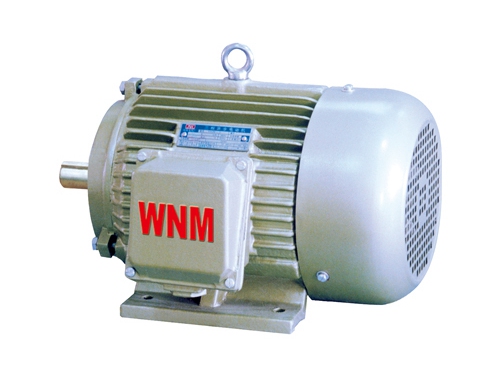 4 YD2系列(lie)變極多速三相異(yì)步電動機