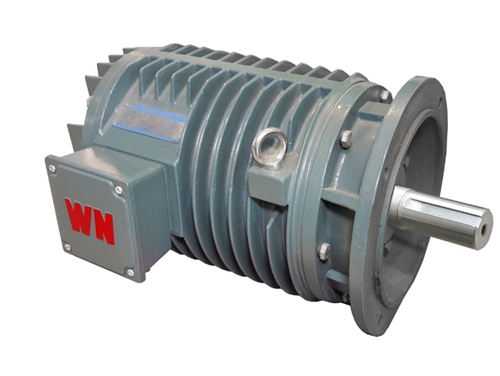 3 YG系列(liè)輥道用調速(sù)三相異步電(diàn)動機