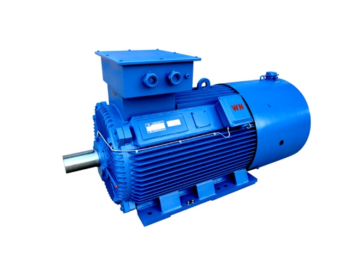 2 YLVF低壓大功率(lü)變頻電動機