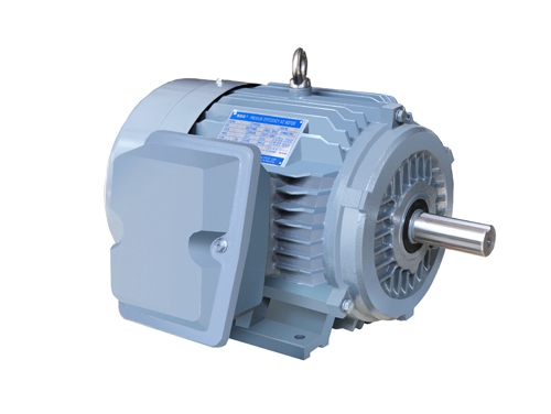 2 NE系列高(gao)效高轉矩(ju)三相異步(bu)電動機