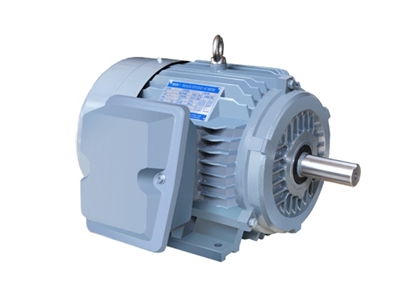 NE系(xi)列高效高轉矩(ju)三相異步電動(dong)機