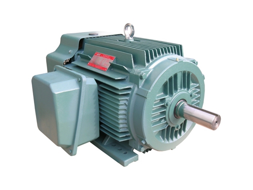 1 NEP系列超(chao)高效率三(sān)相異步電(dian)動機