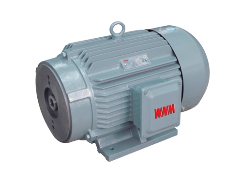 1 YYB系列油(you)泵專用三相異步(bu)電動機