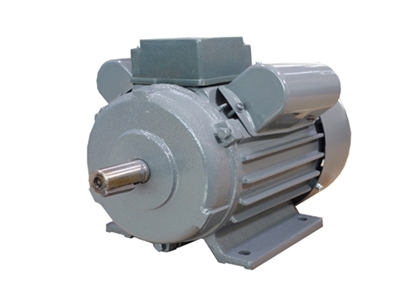 YL系列雙值電容(rong)異步電動機