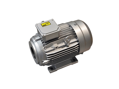 YYVF2系列新(xin)能源汽車助力(li)轉向泵電機